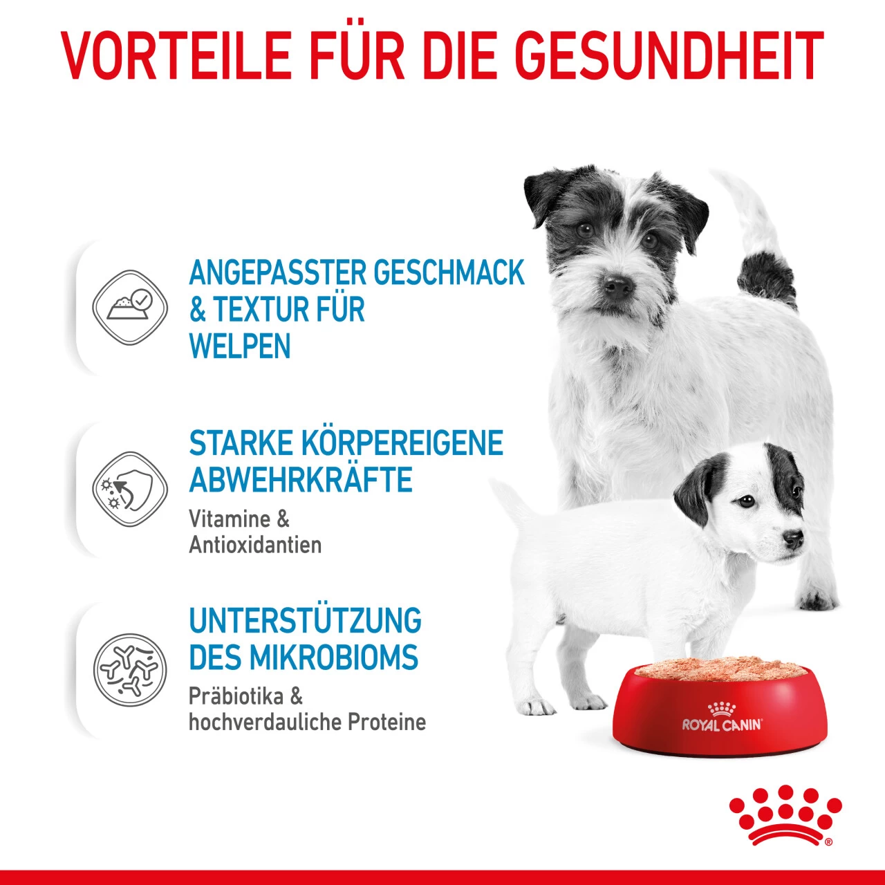 Royal Canin Starter Mousse Mother & Babydog Nassfutter Für Hunde 5 Royal Canin Starter Mousse Mother & Babydog Nassfutter Für Hunde – Bild 5