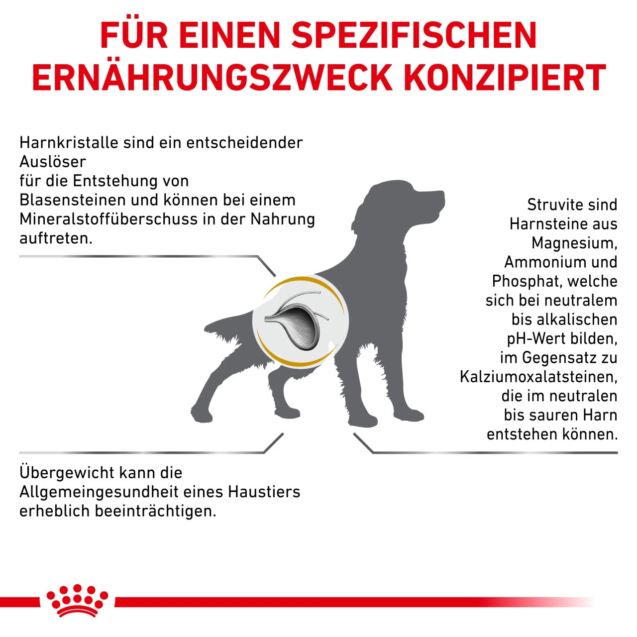 Royal Canin Urinary S/O Moderate Calorie Trockenfutter Für Hunde 5 Royal Canin Urinary S/O Moderate Calorie Trockenfutter Für Hunde – Bild 5