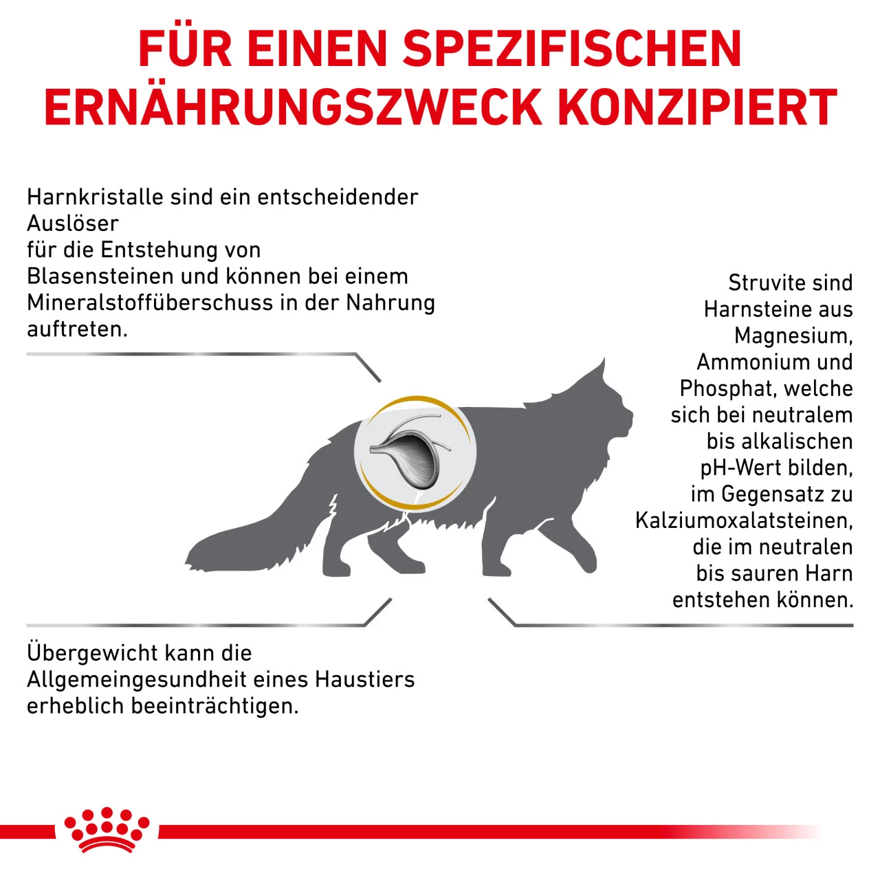 Royal Canin Urinary S/O Moderate Calorie Trockenfutter Für Katzen 4 Royal Canin Urinary S/O Moderate Calorie Trockenfutter Für Katzen – Bild 4