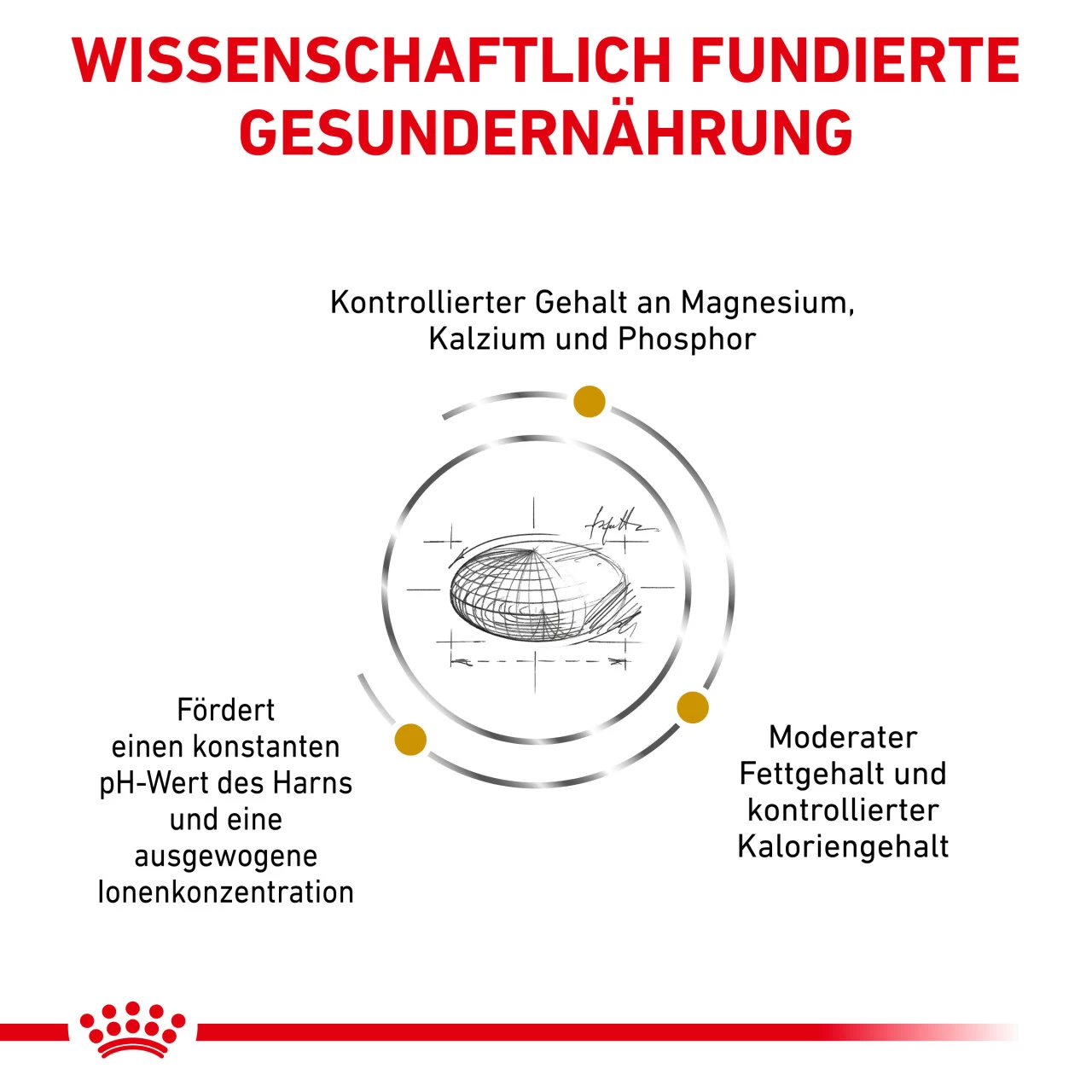 Royal Canin Urinary S/O Moderate Calorie Trockenfutter Für Katzen 5 Royal Canin Urinary S/O Moderate Calorie Trockenfutter Für Katzen – Bild 5