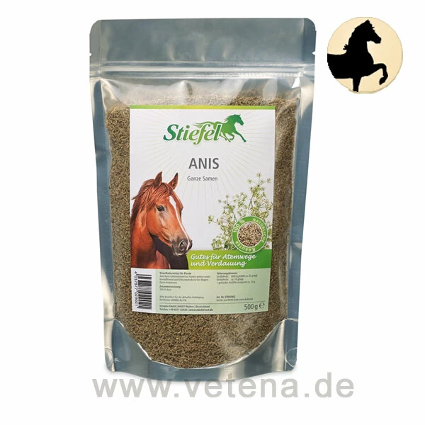 Stiefel Anis 1 Stiefel Anis