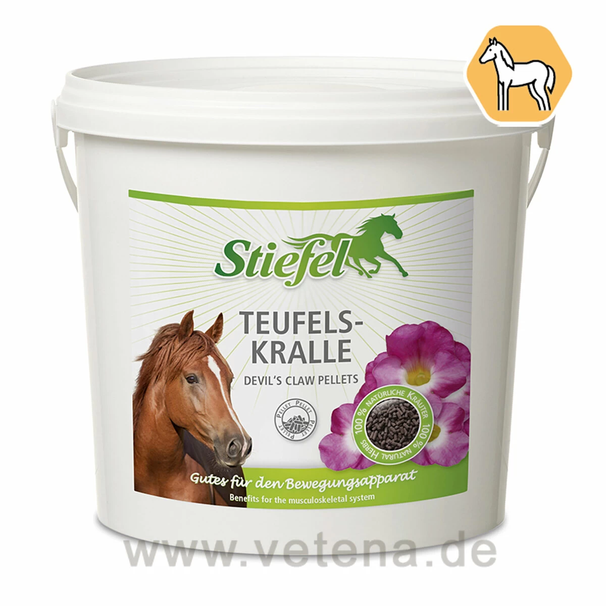 Stiefel Teufelskralle 1 Stiefel Teufelskralle