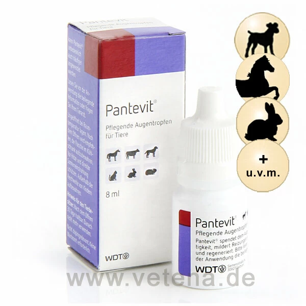 Pantevit 1 Pantevit